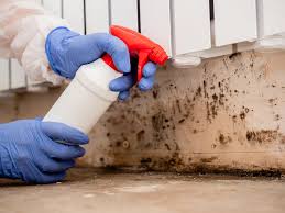 Why You Should Choose Our Mold Remediation Services in Greenwood, MO